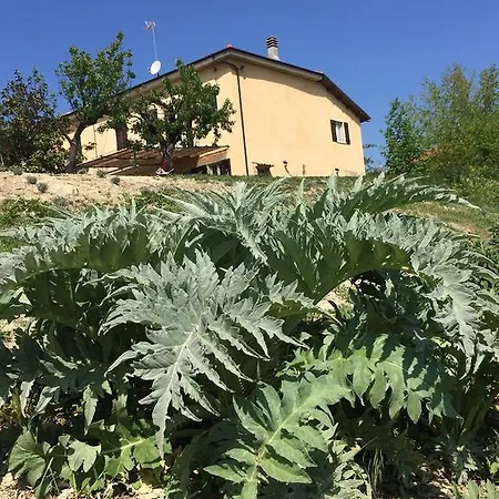 Country house Cascina Vicentini Alfiano Natta
