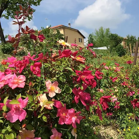 Country house Cascina Vicentini Alfiano Natta