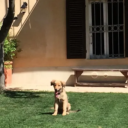 Cascina Vicentini Летний дом *