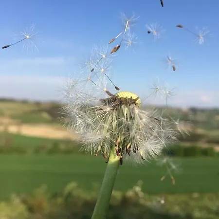 Gospodarstwo wiejskie Cascina Vicentini