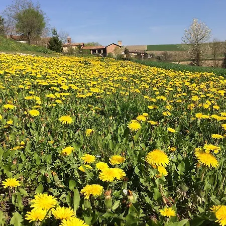 Cascina Vicentini Casa de Campo Alfiano Natta