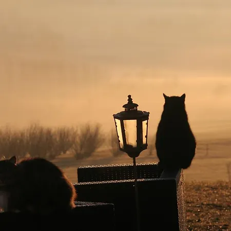 Gospodarstwo wiejskie Cascina Vicentini Alfiano Natta