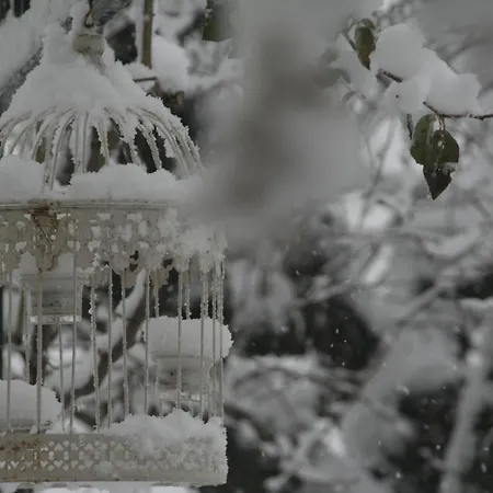 Cascina Vicentini * Alfiano Natta