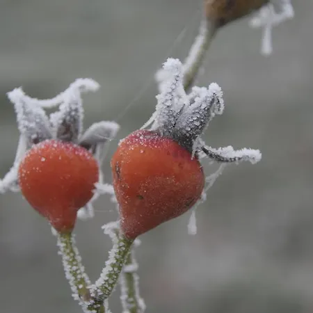Cascina Vicentini Landsted Alfiano Natta