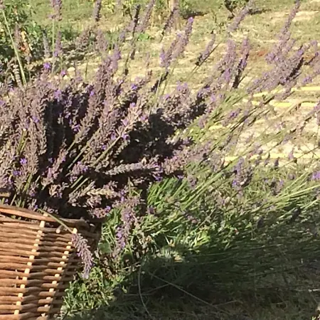 Landsted Cascina Vicentini