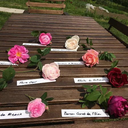 Gospodarstwo wiejskie Cascina Vicentini Alfiano Natta