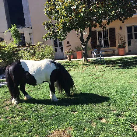 Cascina Vicentini Landsted *