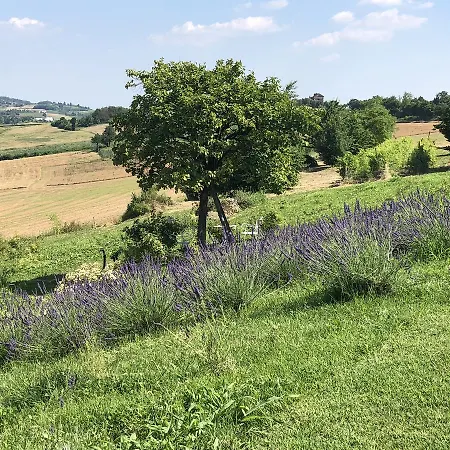 Cascina Vicentini Gospodarstwo wiejskie *