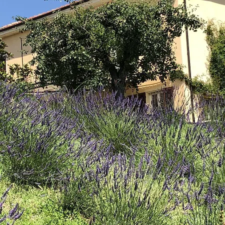 Cascina Vicentini Alfiano Natta