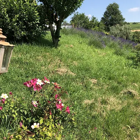 Cascina Vicentini