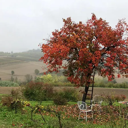 Country house Cascina Vicentini Alfiano Natta