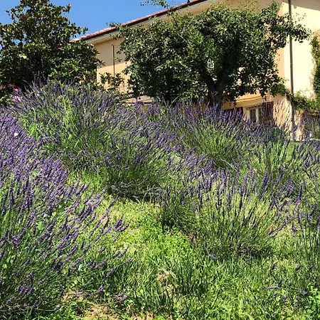 Cascina Vicentini * Alfiano Natta