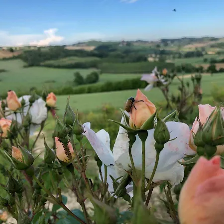 Cascina Vicentini Alfiano Natta