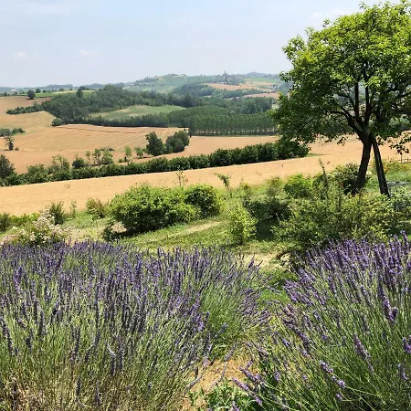 Cascina Vicentini Casa de Campo Alfiano Natta